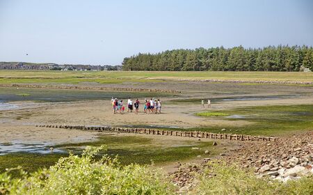 Wattwandern-UNESCO-Weltnaturerbe