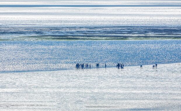 Wattenmeer-UNESCO-Weltnaturerbe